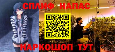 трава Тара