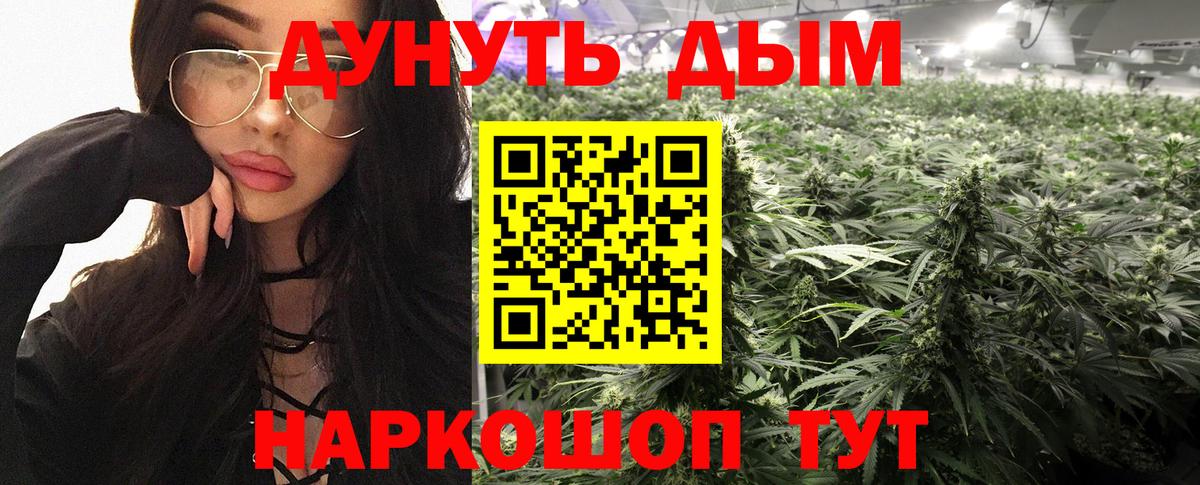 Конопля семена  Канабис гибрид  Новороссийск  Бошки марихуана Bruce Banner  Бошки Шишки марихуана  Вход с VPN 